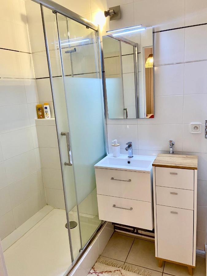Appartement Cosy 1 Chambre Pour 2 Pers - Renove - Terrasse - Parking ディナール エクステリア 写真